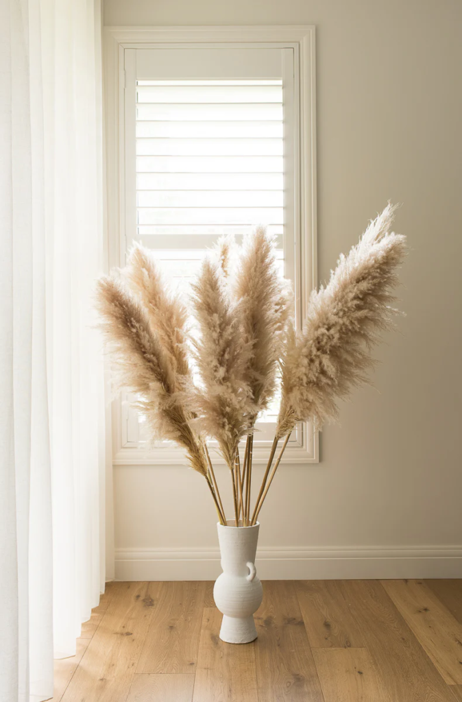 pampas grass